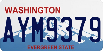 WA license plate AYM9379