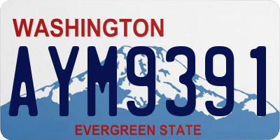 WA license plate AYM9391