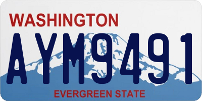 WA license plate AYM9491
