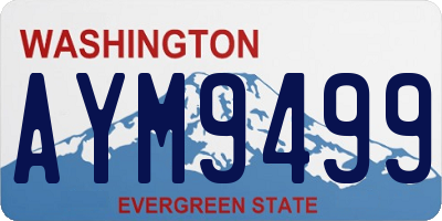 WA license plate AYM9499
