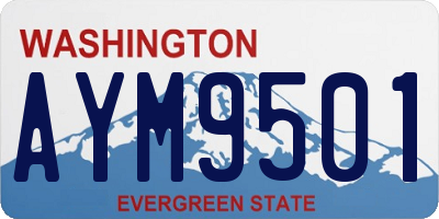 WA license plate AYM9501