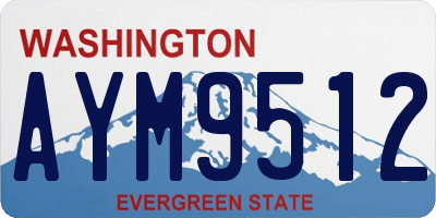 WA license plate AYM9512