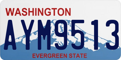 WA license plate AYM9513