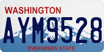 WA license plate AYM9528