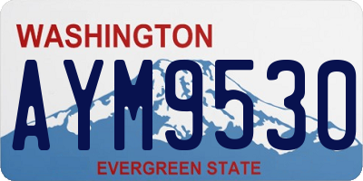 WA license plate AYM9530