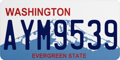 WA license plate AYM9539
