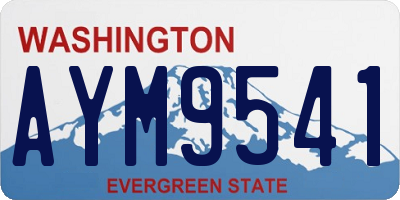 WA license plate AYM9541