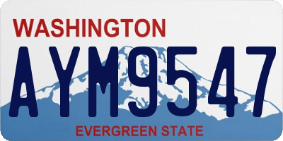 WA license plate AYM9547