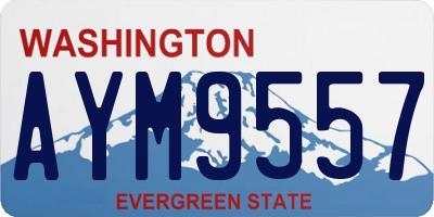 WA license plate AYM9557
