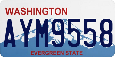 WA license plate AYM9558