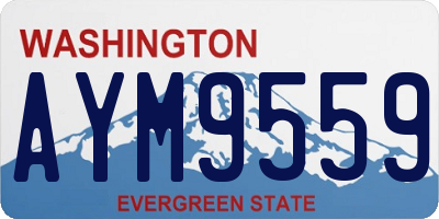 WA license plate AYM9559