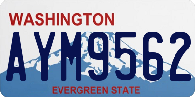 WA license plate AYM9562