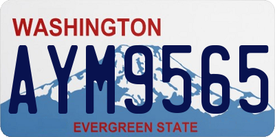 WA license plate AYM9565