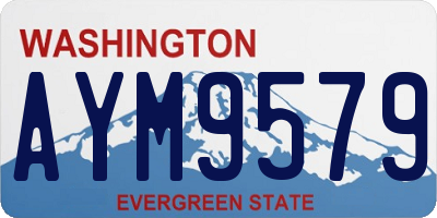 WA license plate AYM9579
