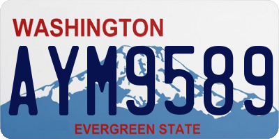 WA license plate AYM9589