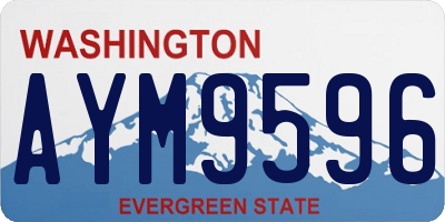 WA license plate AYM9596