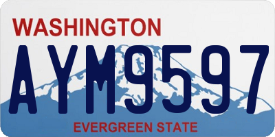 WA license plate AYM9597
