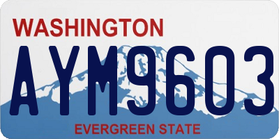 WA license plate AYM9603
