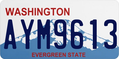 WA license plate AYM9613
