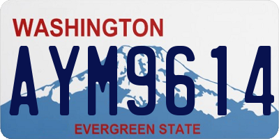 WA license plate AYM9614