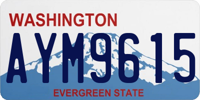 WA license plate AYM9615