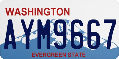 WA license plate AYM9667