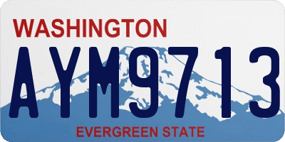 WA license plate AYM9713