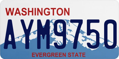 WA license plate AYM9750