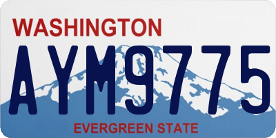 WA license plate AYM9775