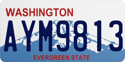 WA license plate AYM9813