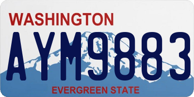 WA license plate AYM9883