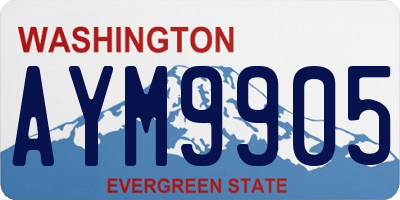 WA license plate AYM9905