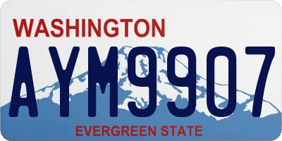 WA license plate AYM9907