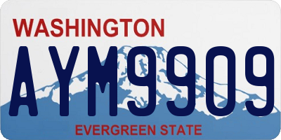WA license plate AYM9909