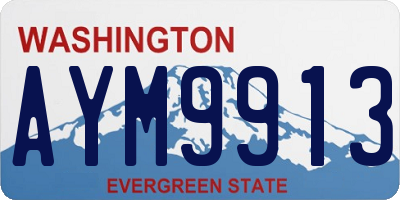 WA license plate AYM9913
