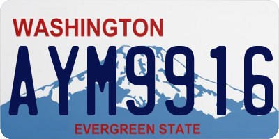 WA license plate AYM9916