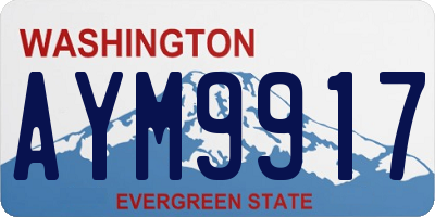 WA license plate AYM9917