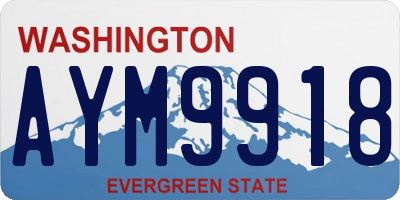 WA license plate AYM9918