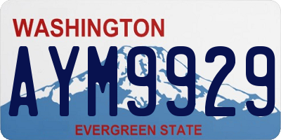 WA license plate AYM9929