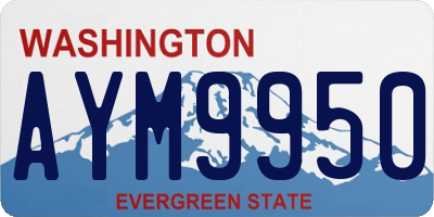 WA license plate AYM9950
