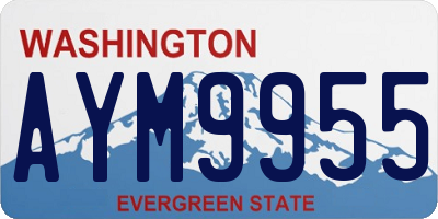 WA license plate AYM9955