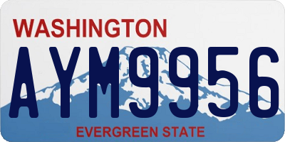WA license plate AYM9956