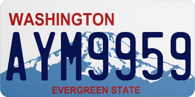 WA license plate AYM9959