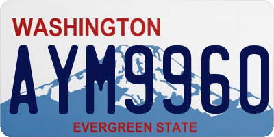 WA license plate AYM9960