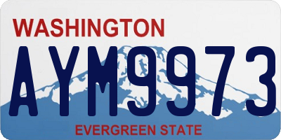 WA license plate AYM9973