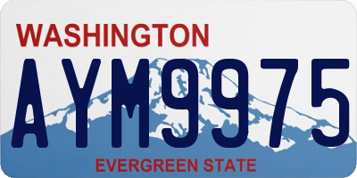 WA license plate AYM9975