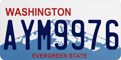 WA license plate AYM9976