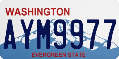 WA license plate AYM9977