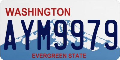 WA license plate AYM9979