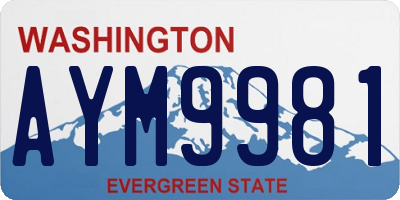WA license plate AYM9981